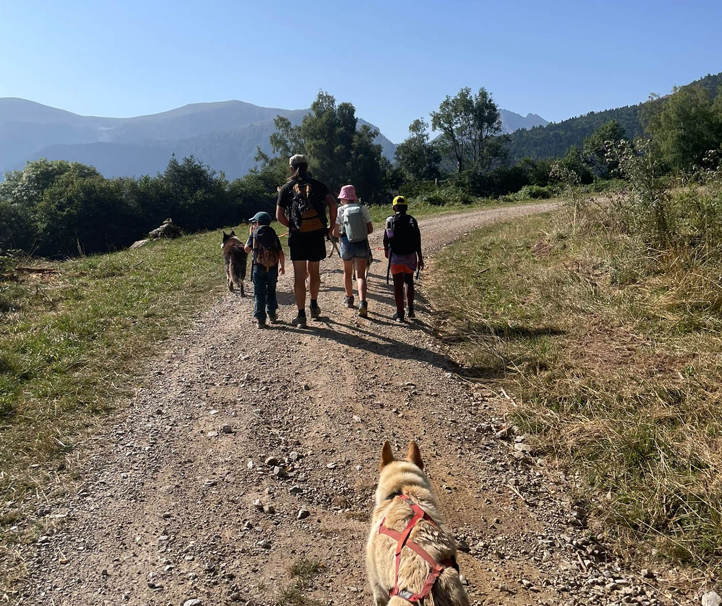 Avec les p’tit·es aventurier·ères, un voyage au cœur de la nature